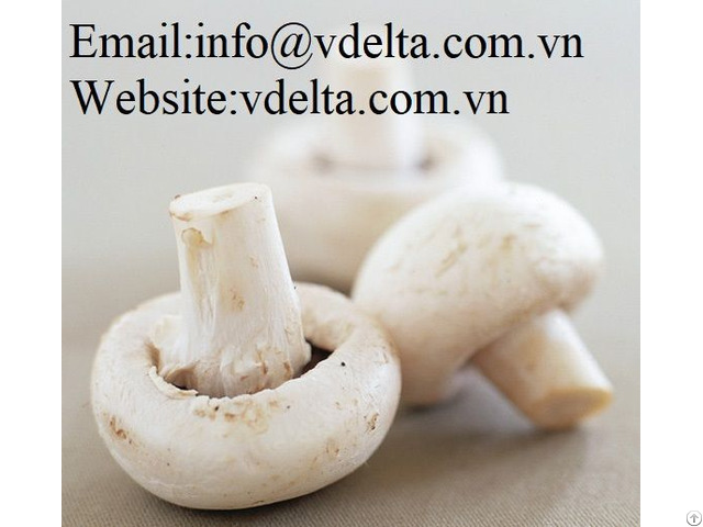 High Quality Mushroom Vdelta