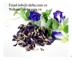 High Quality Butterfly Pea Petal Vdelta