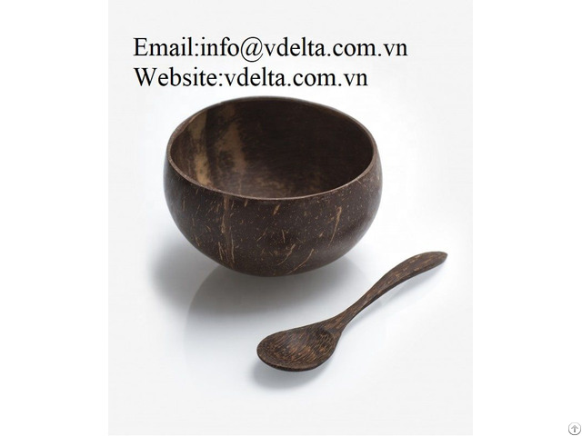 High Quality Coconut Shell Bowl Vdelta