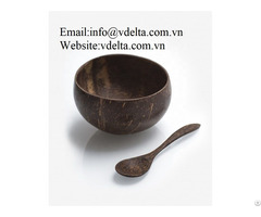 High Quality Coconut Shell Bowl Vdelta