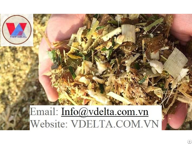 Corn Silage From Viet Nam