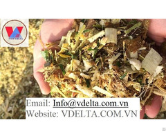 Corn Silage From Viet Nam