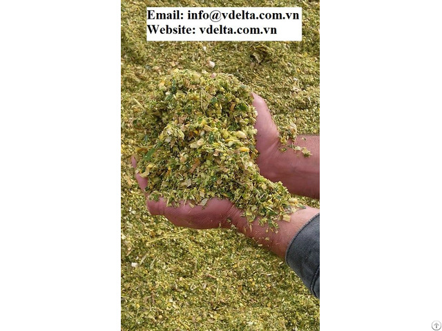 Corn Silage For Animal Feed Cheap Price