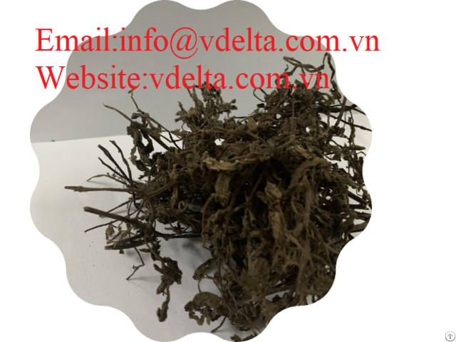 High Quality Grass Jelly Vdelta