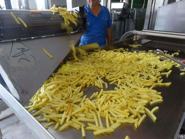 Small Frozen French Fries Processing Business