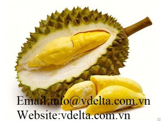 High Quality Frozen Durian Vdelta