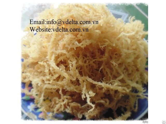 High Quality Sea Moss Vdelta