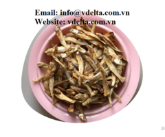 Dried Anchovy High Quality