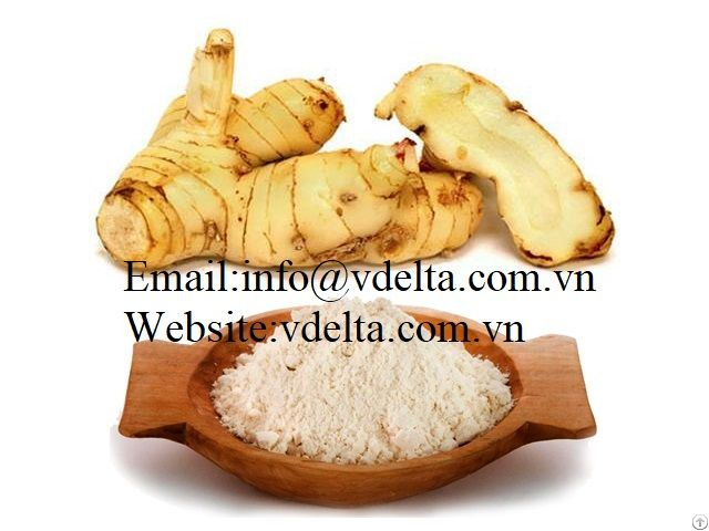 High Quality Galangal Powder Vdelta