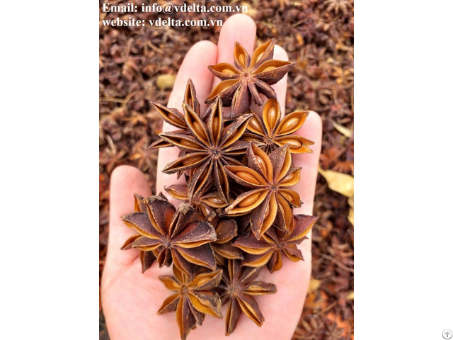 Herbs And Spices Star Anise 2020