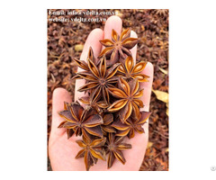 Herbs And Spices Star Anise 2020