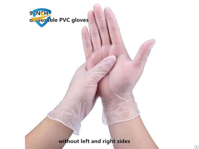 Disposable Vinyl Gloves Supplier
