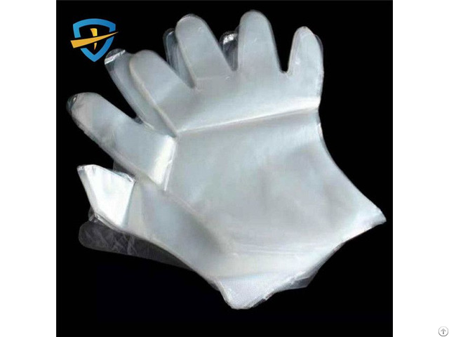 Pe Gloves Supplier