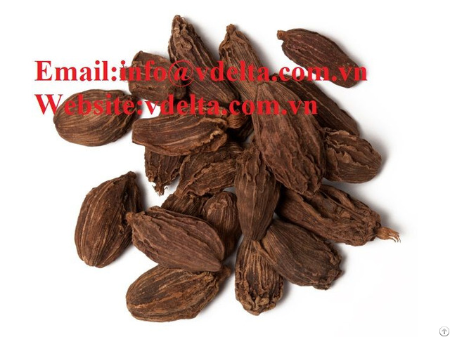 High Quality Cardamom