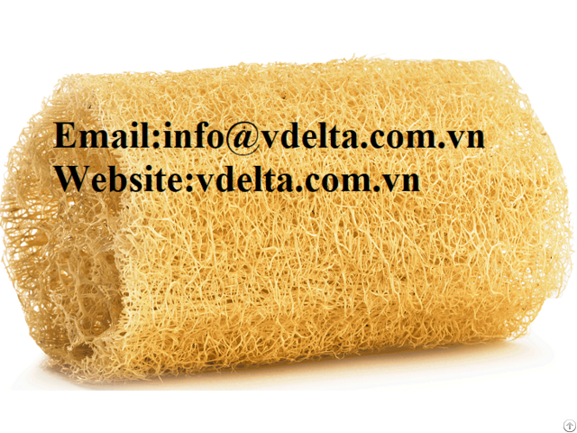 High Quality Luffa Cheap Vdelta