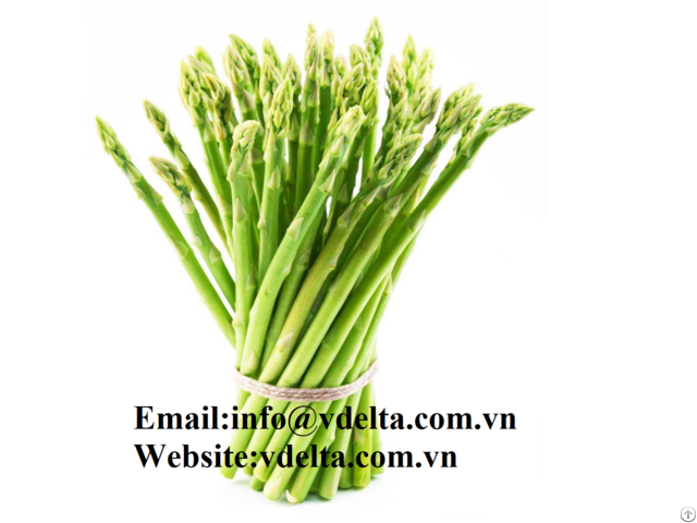 High Quality Fresh Asparagus Vdelta