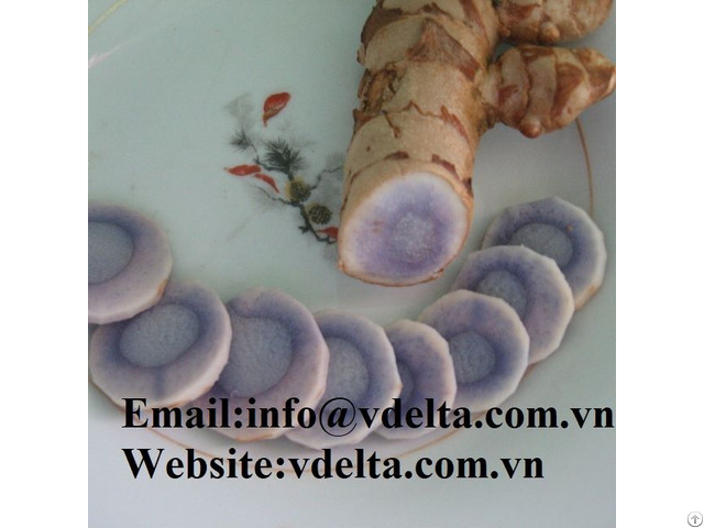 High Quality Fresh Black Turmeric Vdelta