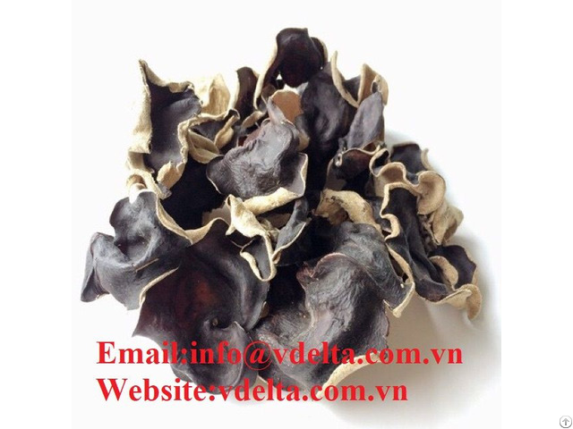 High Quality Dried Fungus Vdelta