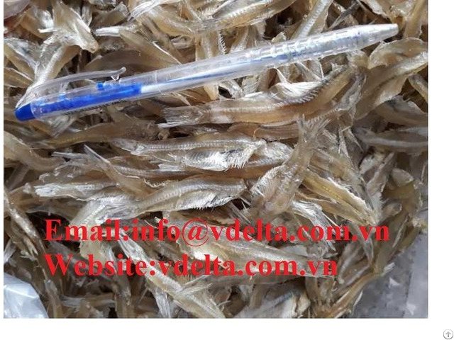 High Quality Dried Anchovies Vdelta