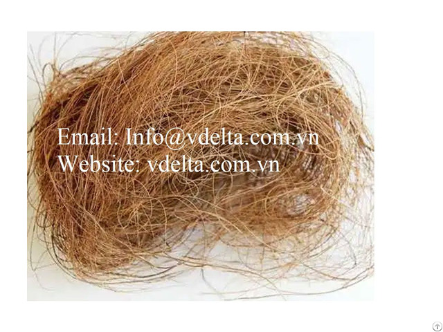 Coconut Coir Fiber