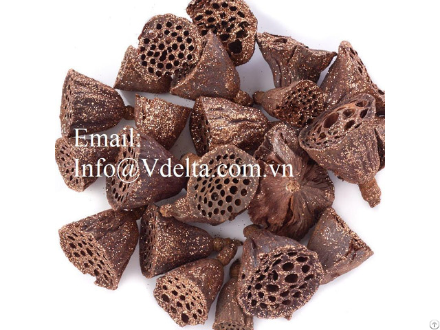 Dried Lotus Pods