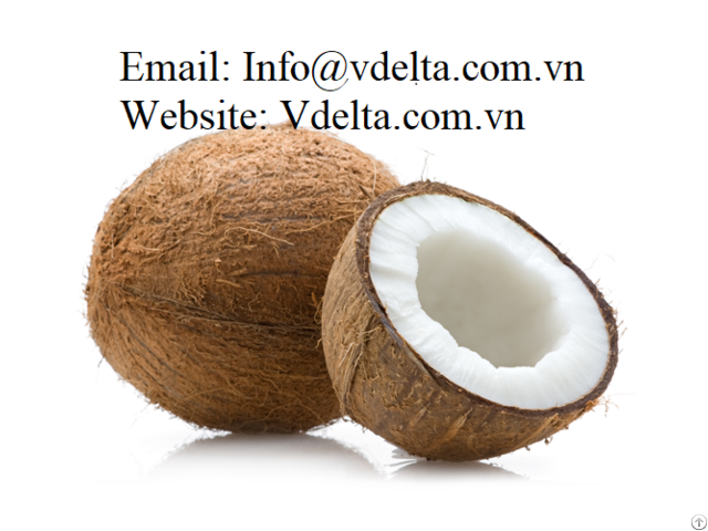 Fresh Brown Coconut