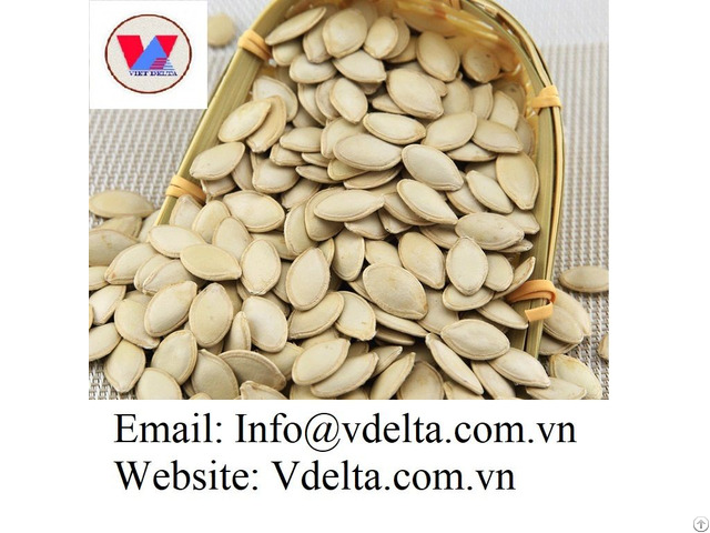 Pumpkin Seeds From Vietnam