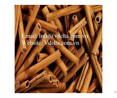 Cinnamon Cassia Stick
