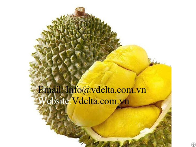 Fresh Durian High Quality