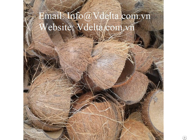 Coconut Shell From Vietnam