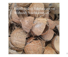 Coconut Shell From Vietnam