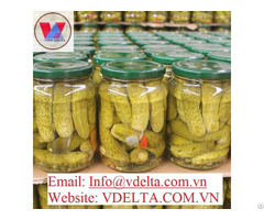 Pickled Cucumbern High Quality From Viet Nam
