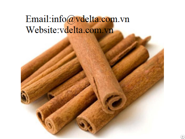 Cinnamon Stick Viet Nam