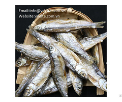 High Quality Packedherring Dried Fishes Vdelta