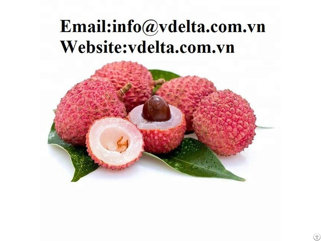 High Quality Fresh Lychee Vdelta