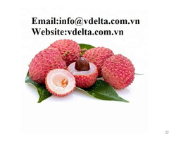 High Quality Fresh Lychee Vdelta