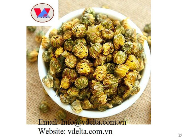 Dried Chrysanthemum Flower Buds