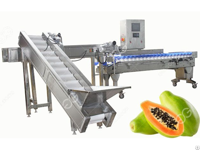 Automatic Fruit Weight Classifing Machine