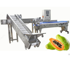 Automatic Fruit Weight Classifing Machine