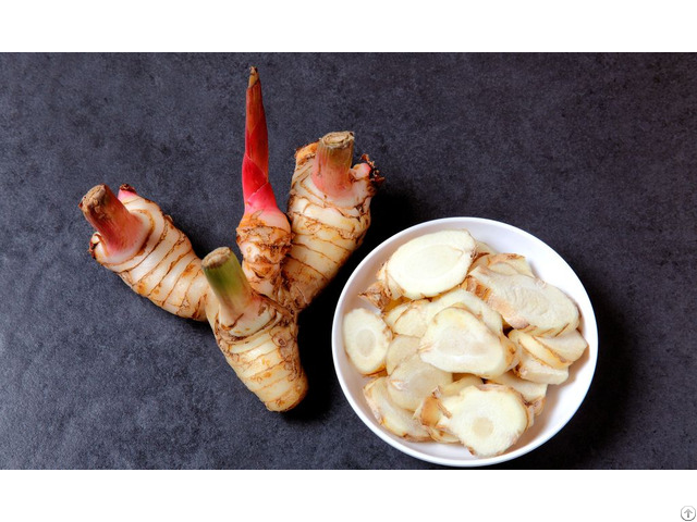 Good Price Galangal Powder