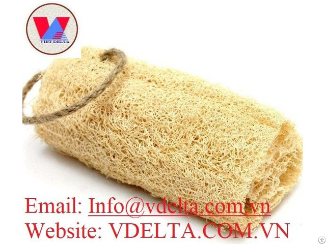 Natural Raw Loofah From Viet Nam