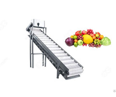 Conveying Equipment Chain Plate Elevator