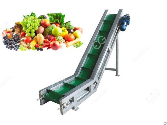 Fruits And Vegetables Belt Conveyors