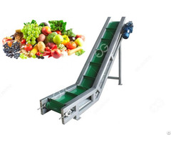Fruits And Vegetables Belt Conveyors