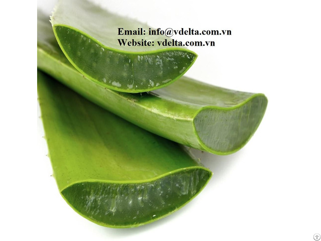 Aloe Vera From Vdelta Good