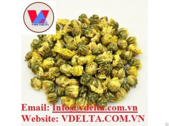 Dried Chrysanthemum Flower Buds From Viet Nam