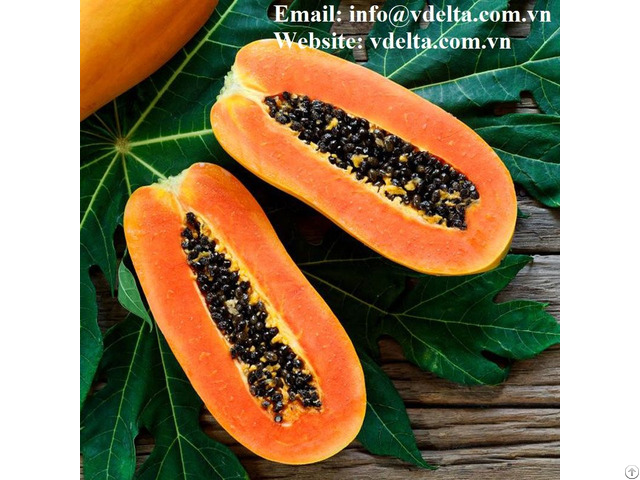 Vietnam Dried Papaya Seeds