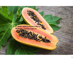 Healthy Food Papaya Seeds From Viet Nam