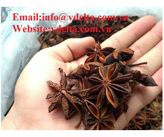 Natural Dried Star Anise With High Quality From Vietnam