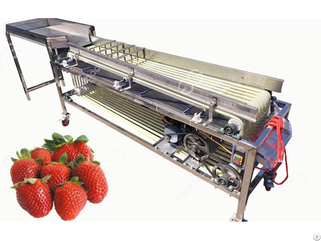 Orbital Type Fruit Sorting Machine